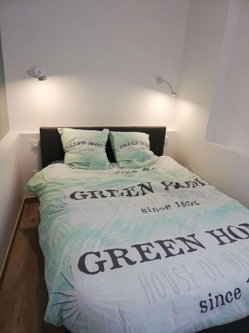 Bel Appartement Coeur De Grenoble Tout Equipe المظهر الخارجي الصورة