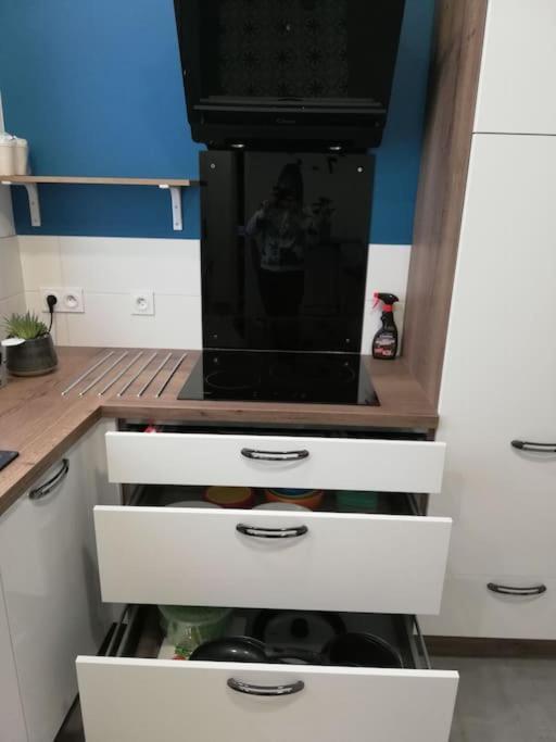 Bel Appartement Coeur De Grenoble Tout Equipe المظهر الخارجي الصورة